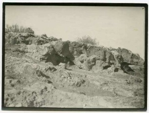 am ehsa [wadi el-ehsa]? el mustagale
