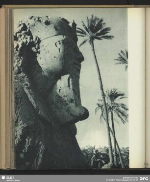 Sphinx des neuen Reiches bei Memphis