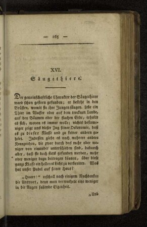 XVI. Säugethiere.