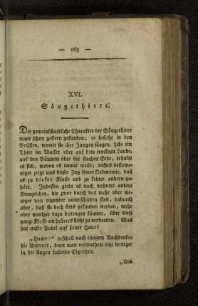 XVI. Säugethiere.