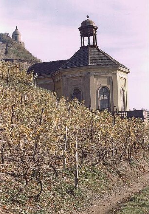 Radebeul. Schloß Wackerbarth, Belvedere, Weinberge und Jakobstein