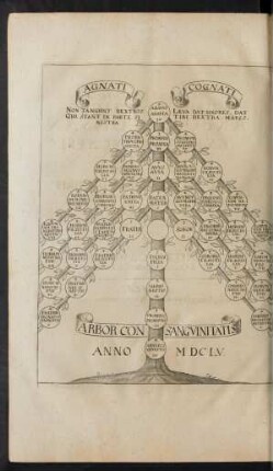 Arbor Consanguinitatis.