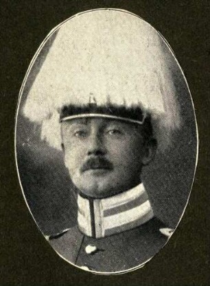Stier, Otto