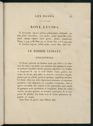 45-46, Rosa Lucida. Le Rosier Luisant.