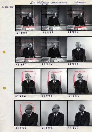 Portraitserie Wolfgang Stresemann