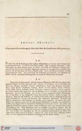 2. Allgemeine Betrachtungen über den Bau der kopflosen Missgeburten