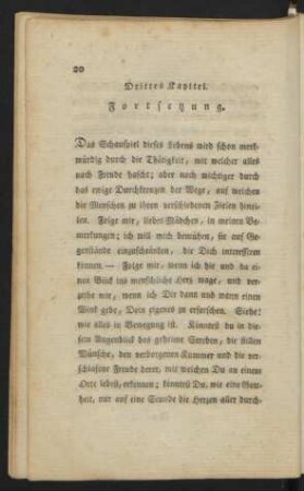 Drittes Kapitel. Fortsetzung