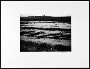 Nordfriesland. Koog bei Alt-Horsbüll. Feld mit großen Pfützen und Traktorenspuren