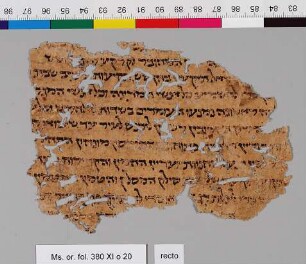 20: Mishneh Torah : Fragment