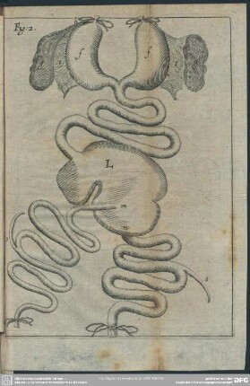 Fig. 2 [Abb. zu §. 6]
