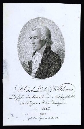 Willdenow, Karl Ludwig