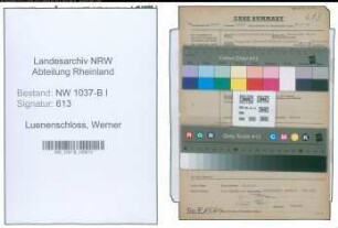 Entnazifizierung Werner Luenenschloss , geb. 19.11.1890 (Fabrikant)