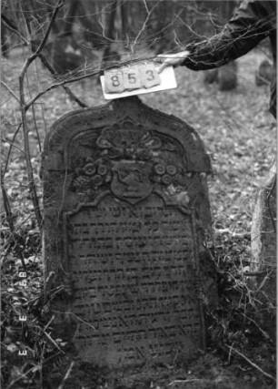 Grabstein 853 (Index: 99751250) Material: Sandstein Zustand: leicht verwittert mit Textverlust Maße HxBxT: 129x79x14 cm Beschreibung: Stele, Kielbogenabschluß, Schriftfeld eingetieft Symbolik: Wappenschild mit Kanne, Muschel, Trauben, Blüten, Ranken: Grabstein 853