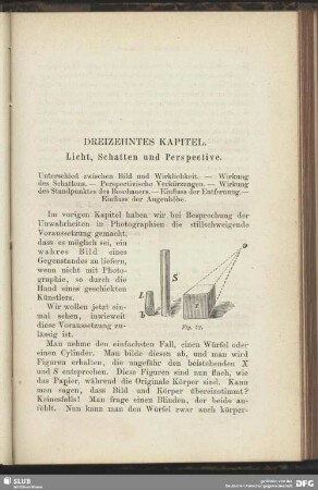 Dreizehntes Kapitel. Licht, Schatten und Perspektive.