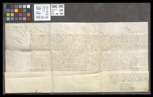 Mainz (Generalia): Schuldverschreibung des Erzbischofs Jacob von Mainz für eine Anleihe bei dem St. Petersstift in Fritzlar