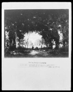 Waldinneres