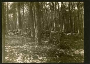 Schutzmauer im Wald