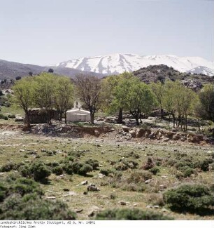 Kreta: am Ida