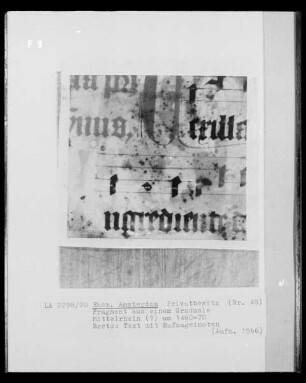 Fragment aus einem Graduale, Text mit Hufnagelnoten