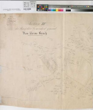 Raesfeld (Raesfeld), Teilung der Raesfelder Mark, Bl. 3 Brouillonkarte das kleine Bruch