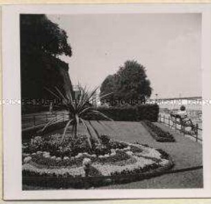 Bonn, Alter Zoll