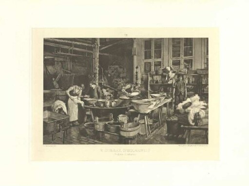 Federn-Färberei