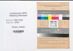 Entnazifizierung Hubert Griess , geb. 31.03.1892 (Major)
