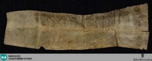 Psalter, Fragment - Cod. St. Peter perg. 128