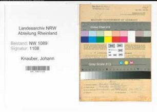 Entnazifizierung Johann Knauber , geb. 24.09.1900 (Polizist)