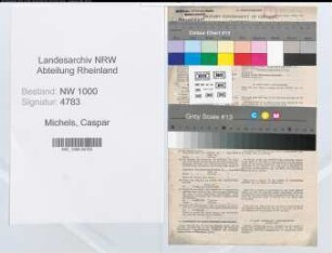 Entnazifizierung Caspar Michels, geb. 16.10.1905 (Verw.Angest.)
