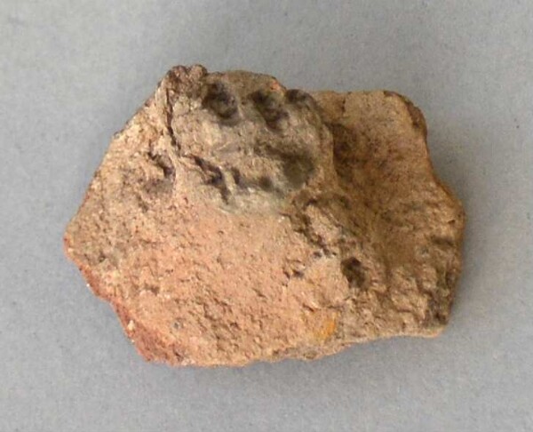 Pottery vessel decoration (fragment)