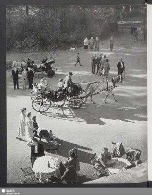 Im Englischen Garten