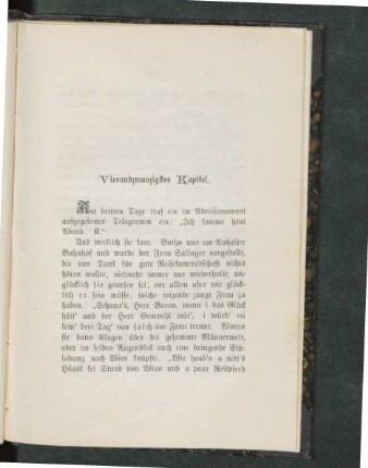 Vierundzwanzigstes Kapitel.