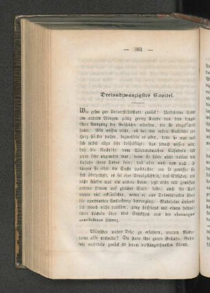 Dreiundzwanzigstes Capitel.