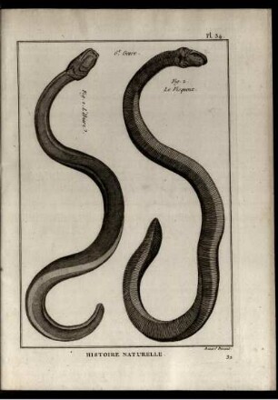 Pl. 34