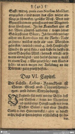 Das VI. Capitel. Die sechste Leibes-Kranckheit ist Stein, Grieß und Nierenschmertzen, und deren Entzündung