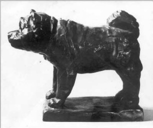 Stehender Hund (Chow-Chow) : Chinesischer Hund Tschau-Tschau (Chow-Chow). Bronze (vor 1952; E. Richter). Dresden-Striesen, Borsbergstraße 11, Atelier der Künstlerin