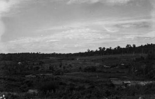 Landschaft : Landschaft bei Londrina.