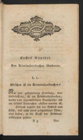 Erstes Kapitel. Von Kriminalverbrechen überhaupt