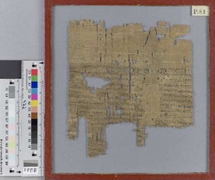 Mythographus Homericus: Scholien zu Ilias A 38-39
