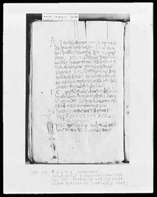 Codex Ragyndrudis, Folio 25verso