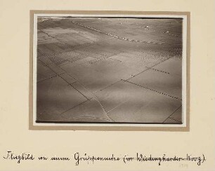 Westküste Landgewinnung - Grüppennetze