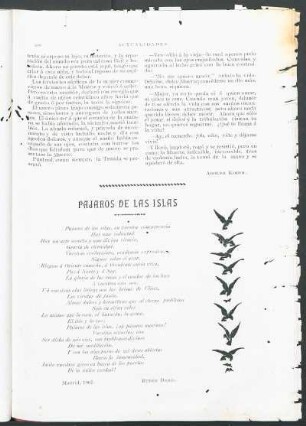 Pájaros de las islas