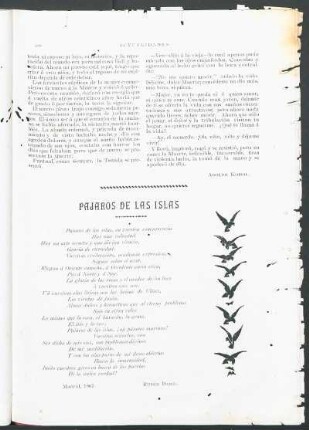 Pájaros de las islas