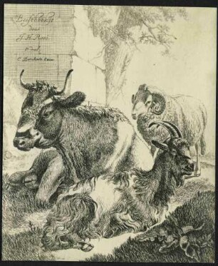 Roos, Joh. Heinrich