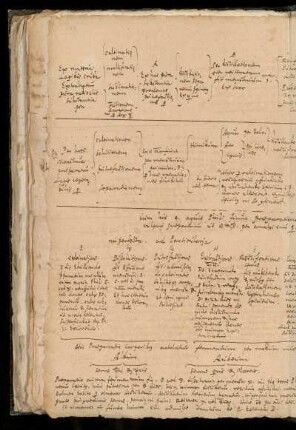 [Schematische Darstellung von verschiedenen Stufen der Transmutation: Calcinatio, Dissolutio, Putrefactio etc. jeweils mit Legenden und Beispielen]