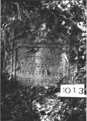 Grabstein 1013 (Index: 99899591) Material: Sandstein Zustand: stark verwittert, durchgebrochen, Unterteil nicht erhalten? Maße HxBxT: 70x67x12 cm Beschreibung: Stele mit eingezogenem Rundbogenabschluss, in der Mitte durchgebrochen - nur das Oberteil ist erhalten und liegt vor Stein Nr. 1014 Besonderheit: vermutete Identifizierung nach Gräberverzeichnis und Sterberegister: Grabstein 1013