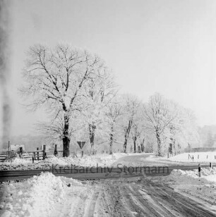 Schlossstraße: Baumallee: Kreuzung mit Bundesstraße B 404 vorn: Winter