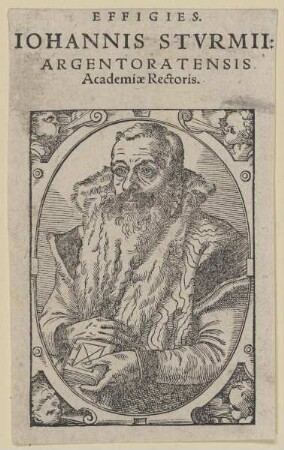 Bildnis des Iohannes Stvrmivs