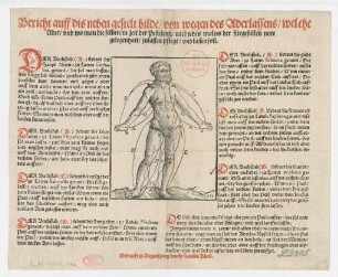 Bericht auff dies neben gestelt bilde von wegen des Aderlassens, welche Ader, und wo man die selben in zeit der Pestilentz nach jedes malns der fuergefallen note gelegenheit, zulassen pflegt, vnd lassen soll